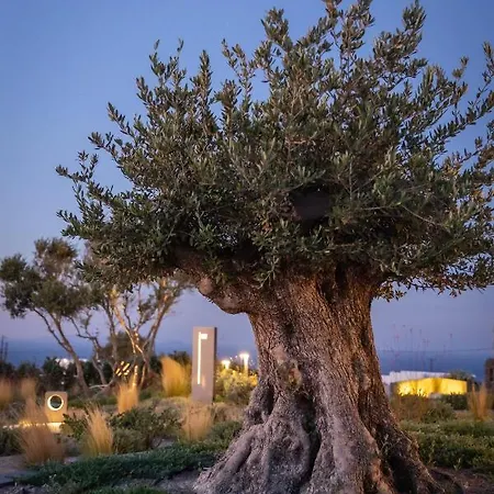 호텔 Divine Cave Experience 3*