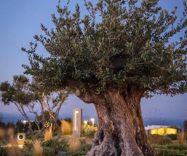 Hotell Divine Boutique Cave Experience 3*